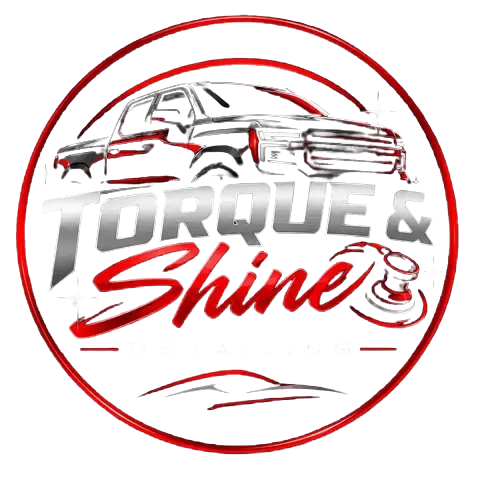 Torque N Shine logo
